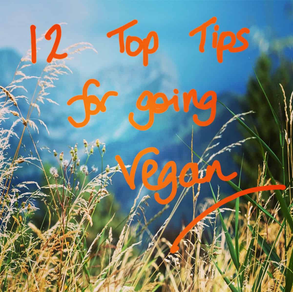 12 Top Tips for Vegan Beginners - Cooking With Camilla